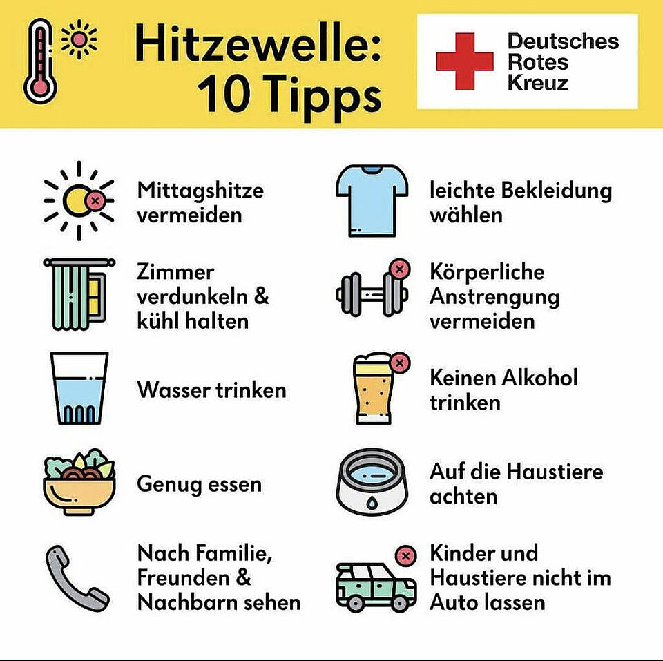 Hitzewelle 10 Tips für die Hitzewelle